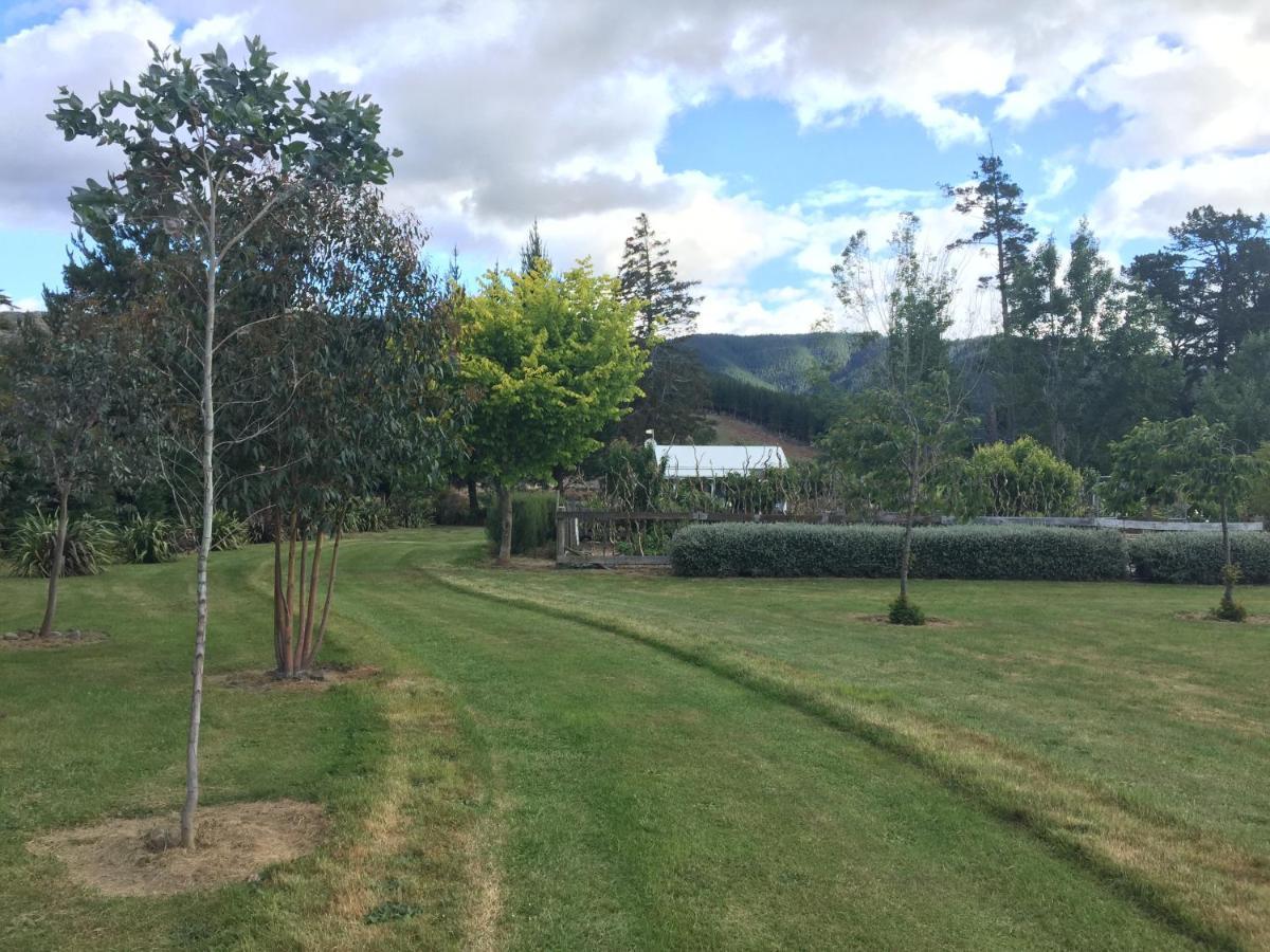 Birch Hill Cottage -30 Minutes From St Arnaud Wairau Valley エクステリア 写真